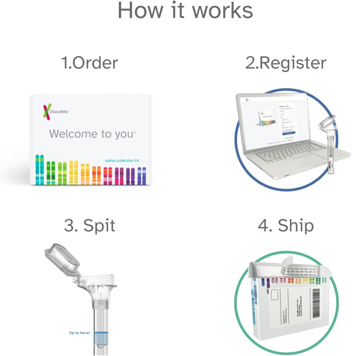 23andMe Ancestry Service - DNA Test Kit with Personalized Genetic Reports Including Ancestry Composition with 3500+ Geographic Regions, Family Tree, DNA Relative Finder and Trait Reports