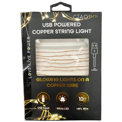 2-Pack 10-Ft USB Powered Indoor/Outdoor LED Copper Wire String Light