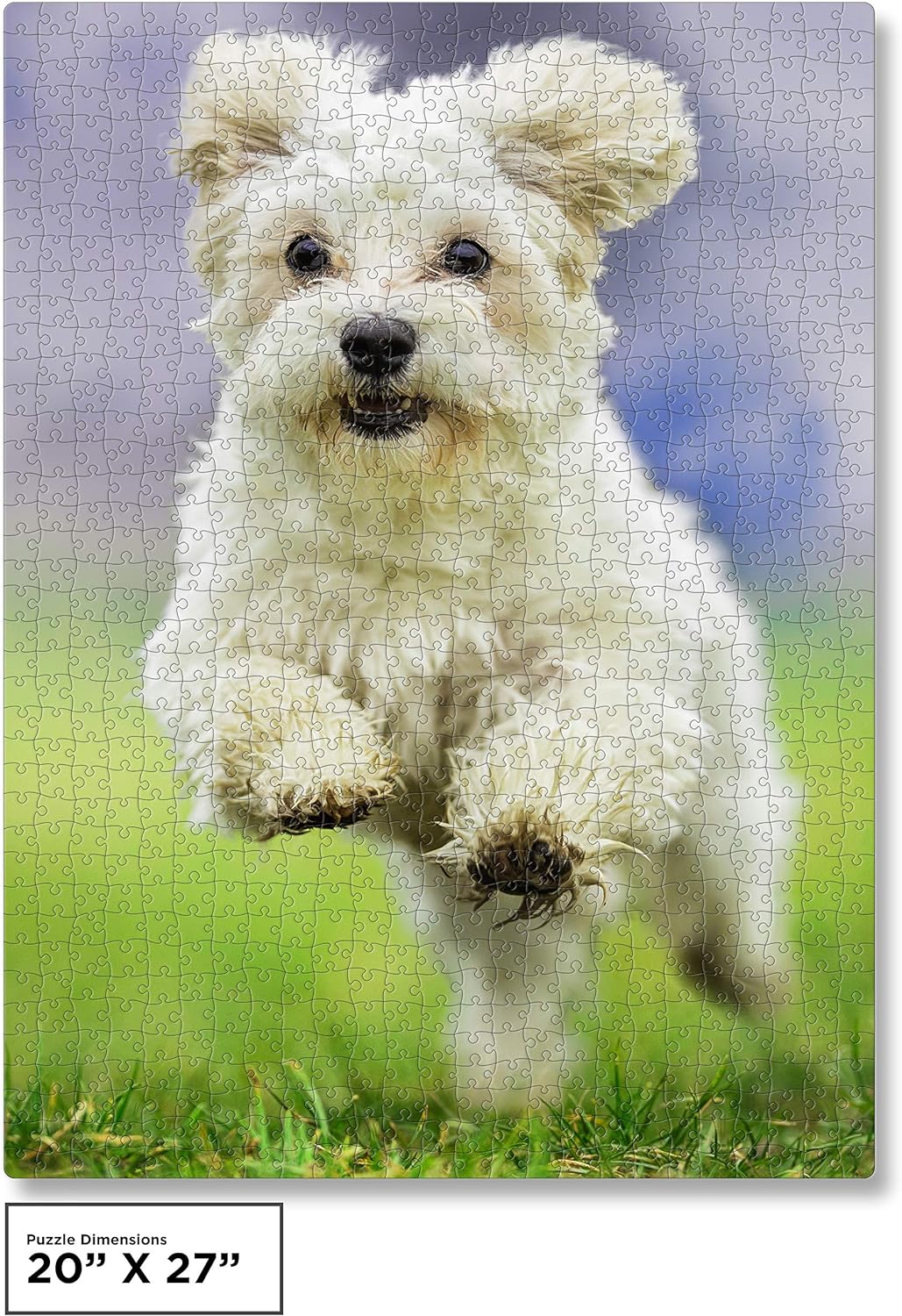 QuizQuirk 1000 Piece Puzzle, Jumping Dog Jigsaw Puzzle for Adults/Teens (Puzzle Saver Kit Included)