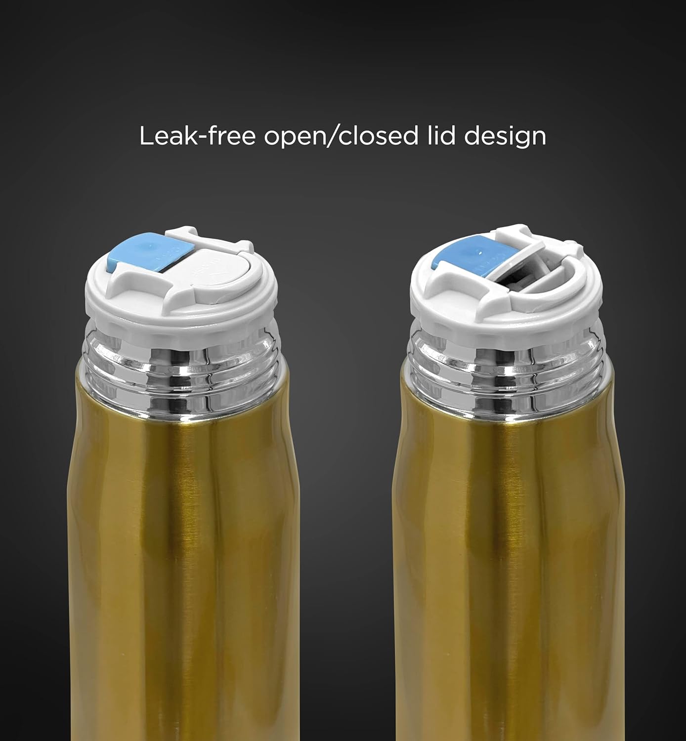 Insulated Stainless Steel Bullet Water Bottle - Perfect Gift for Father's Day or Christmas